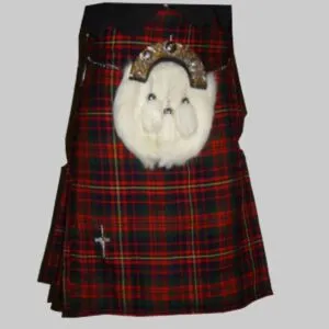 Cameron Modern Tartan Kilt