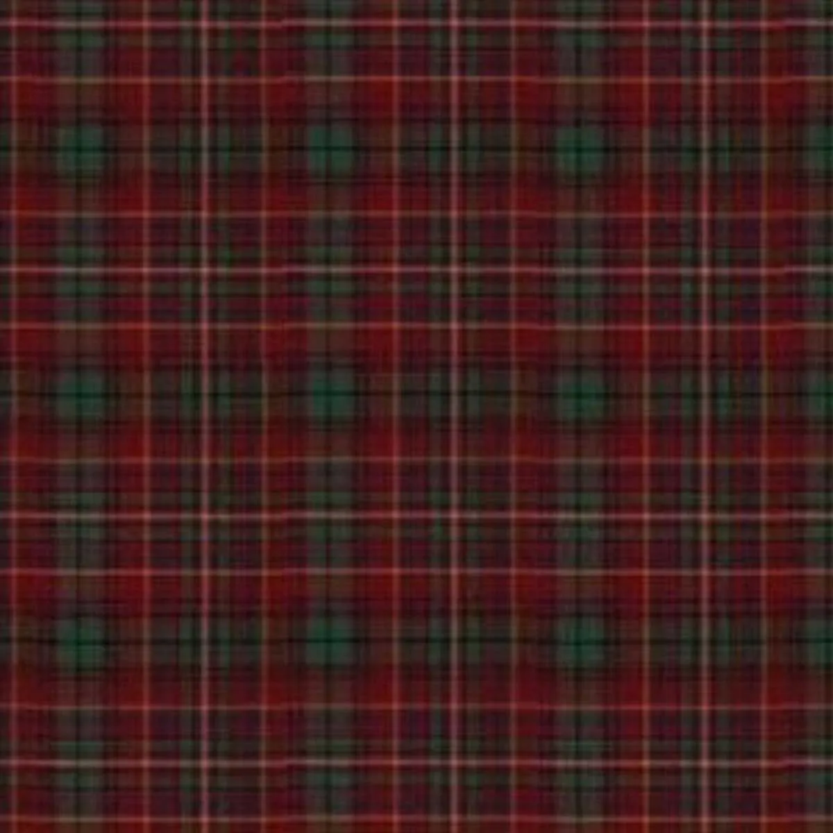 Innes Withered Tartan Kilt - Image 3
