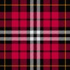 Little Tartan