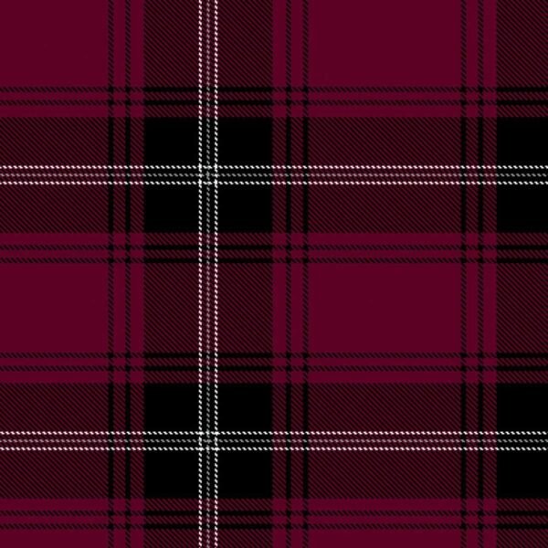 Llewellyn Tartan Kilt - Image 3