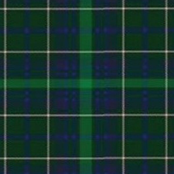 Ptrotheroe Tartan Kilt - Image 3