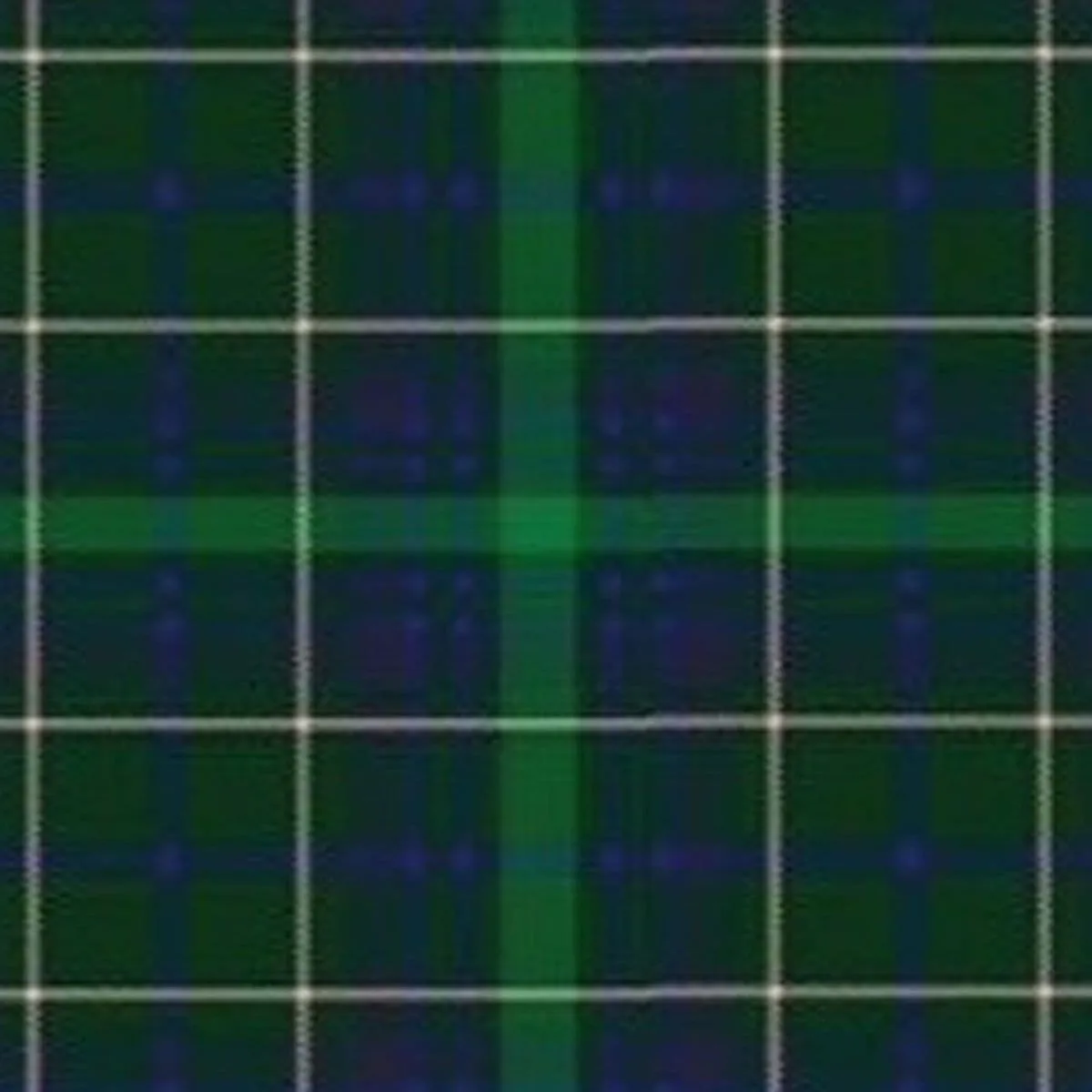 Ptrotheroe Tartan Kilt - Image 3
