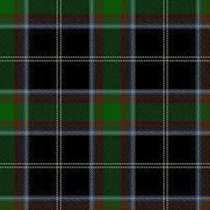 Webster Tartan Kilt - Image 3